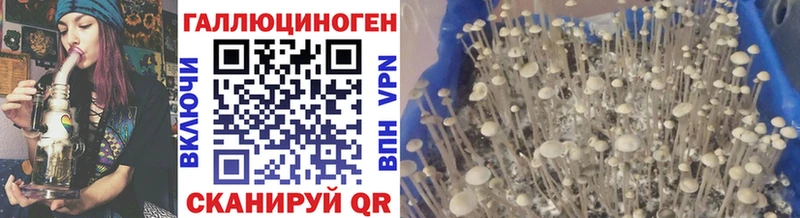 Псилоцибиновые грибы MAGIC MUSHROOMS  где найти наркотики  Кропоткин 