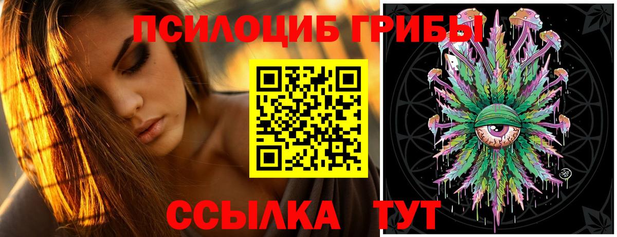Псилоцибиновые грибы прущие грибы Кропоткин